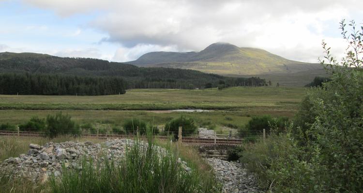 Empty moors and forest along the remote A890 from Lochcarron