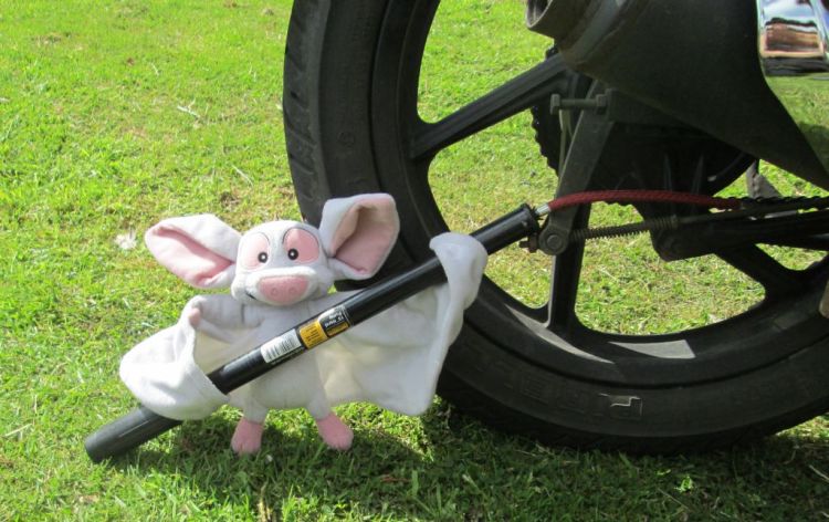 Batty the toy bat holds a bicycle pump next to Sharon's rear tyres