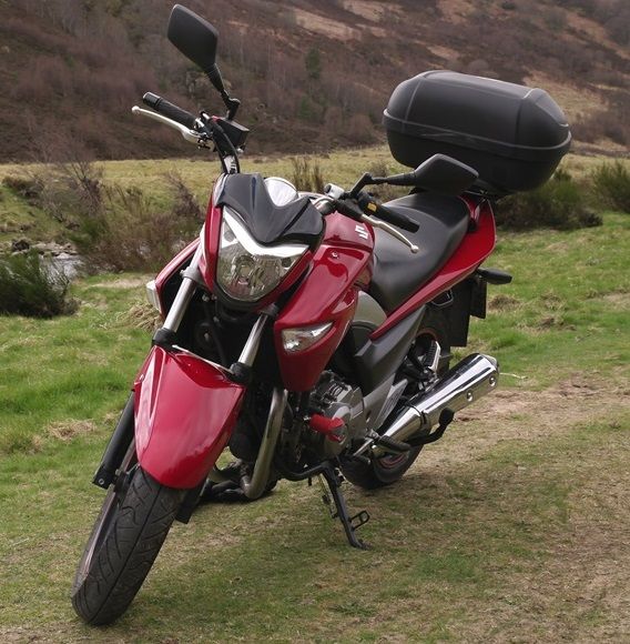 Suzuki's Inazuma 250 set against a scenic countryside background