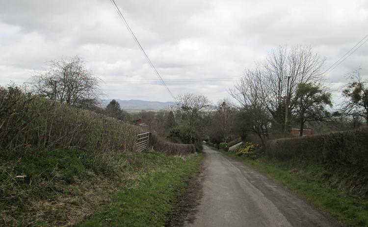 A narrow lane leads down a hill among the countryside of Ledbury