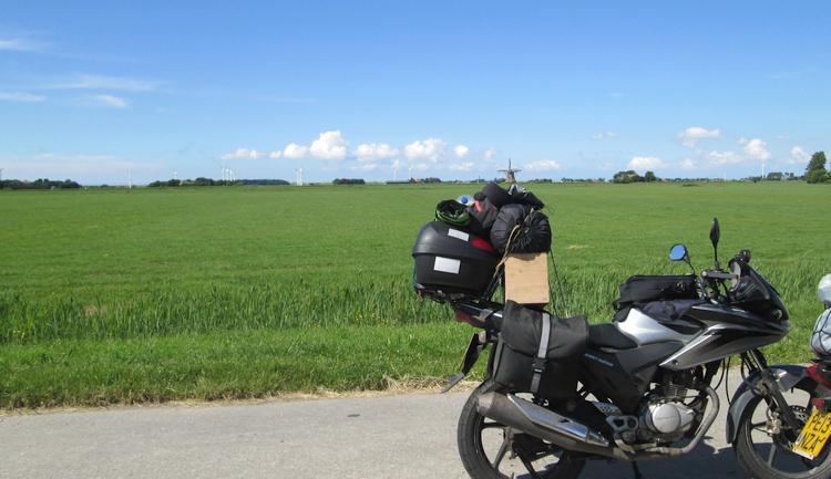 A large flat field filled with a net green crop