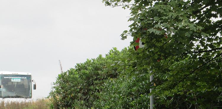 A tree branch filled with leaves obscures the view of a speed limit sign