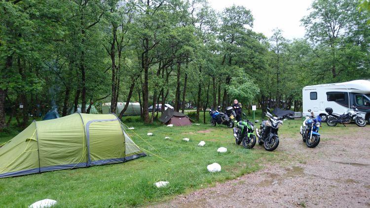Motorcycles, tents and campervans amidst the trees at the campsite