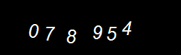 Real Person Number