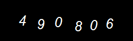Real Person Number