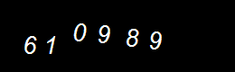 Real Person Number