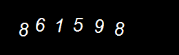 Real Person Number