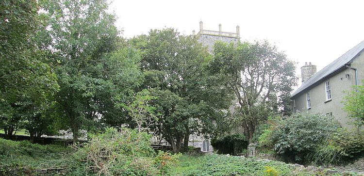 The cathedral can just be made out behind trees and grasses