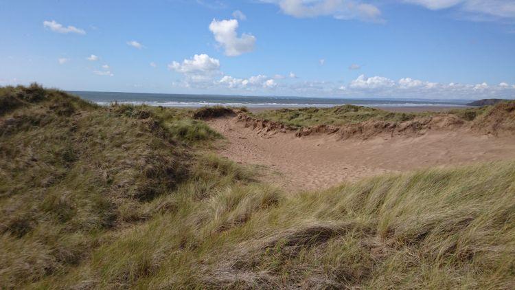 grassy tufts on the sand dunes with the sea stretching out beyond