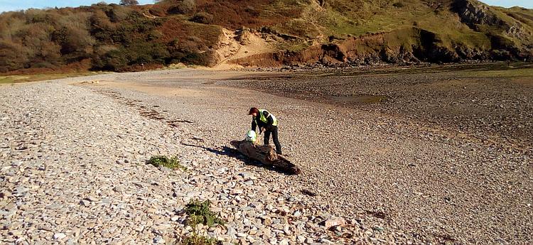 Sharon is messing with some driftwood on the beach surrounded by pebbles and sand