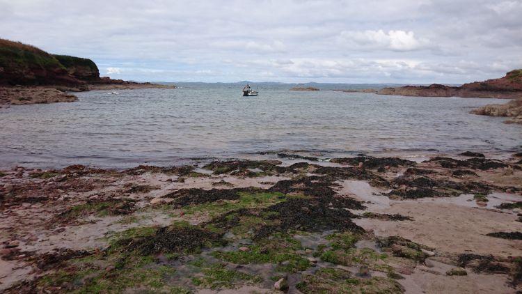 Stones, rocks, sand and seaweed lead to the ocean at St Brides Bay