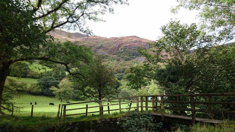 Between trees and fields hills and mountains rise up, a typical Welsh rural view