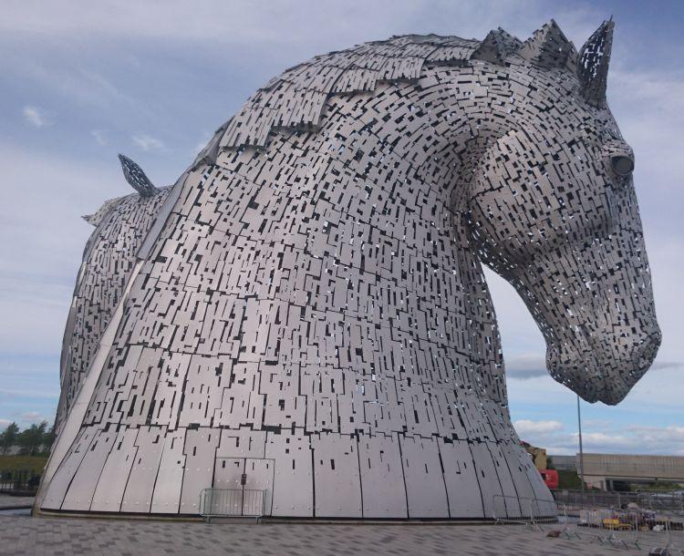 The other hores head looks downwards