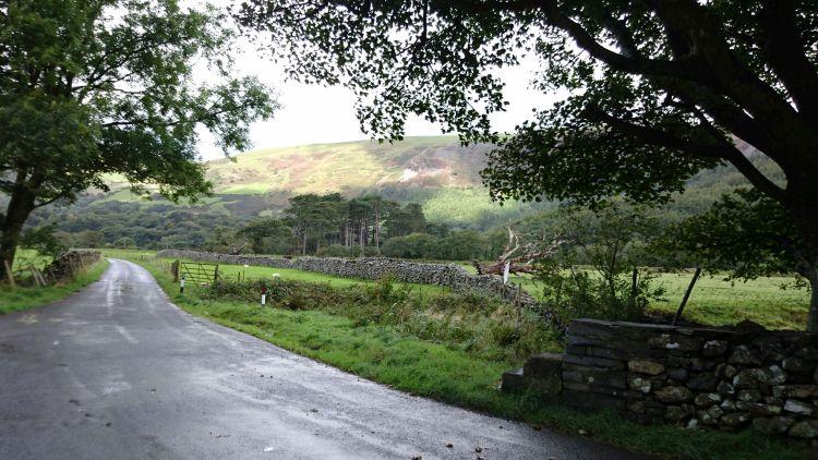 A narrow lane runs between trees, green fields and farmland with rolling hills in the background