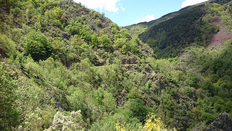 A steep hill covered in scrub and trees with the road passing along the steep side