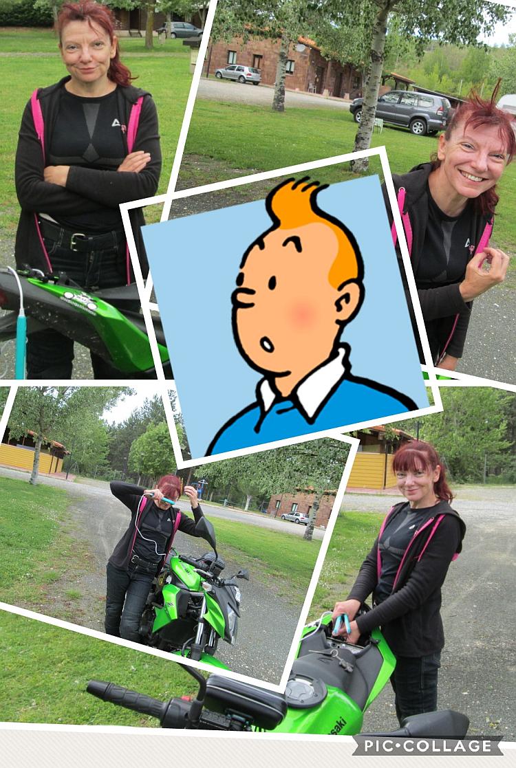 A collage of Sharon's fringe sticking up and messy around a picture of tin tin