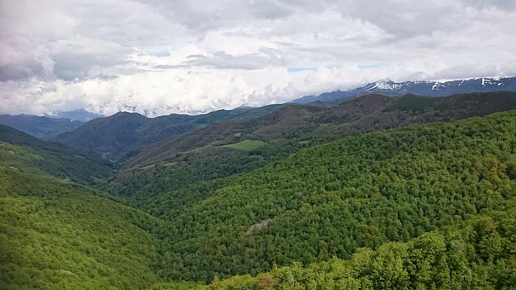 A vast enormous valley is filled for miles with trees, the mountain tops in the distance are snow capped