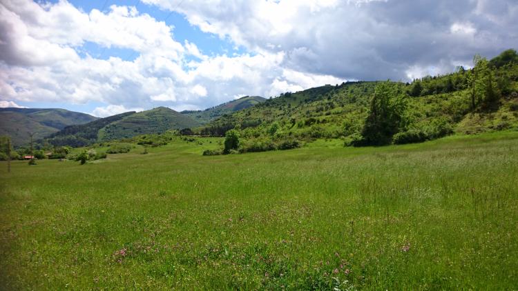 Lush green fields with deep grass and green hills against a lightly cloudy sky
