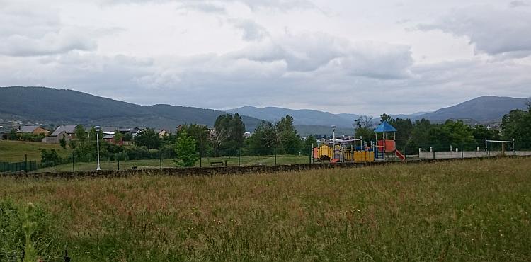 A field with long grass, trees and hazy mountains in the far distance