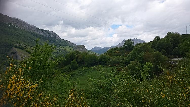 Bushes trees and angular craggy mountains fading into the distance all seen from the road
