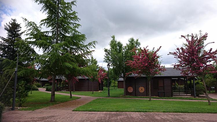 A selection of wood lodges amidst trees, shrubs and lawns, quite pretty