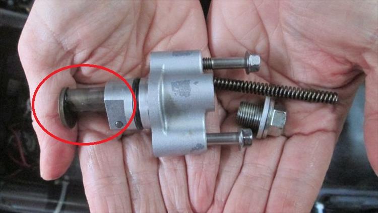 The camchain tensioner disassembled in Sharon's hands