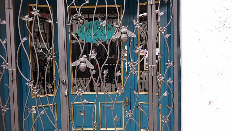 Bugs, spiders, flies and flowers moulded in steel on the bars of shutters in Burgos