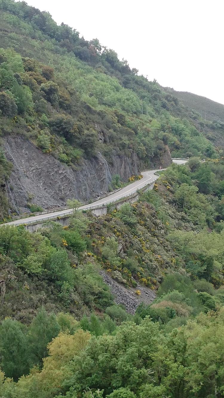 A lane hugs the side of the tree covered hill, snaking it's way down