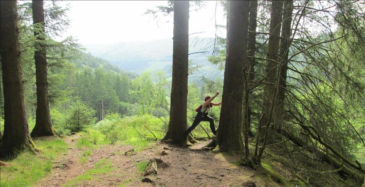 tall trees, deep valley and sharon messing around in the trees at Brecon Beacons