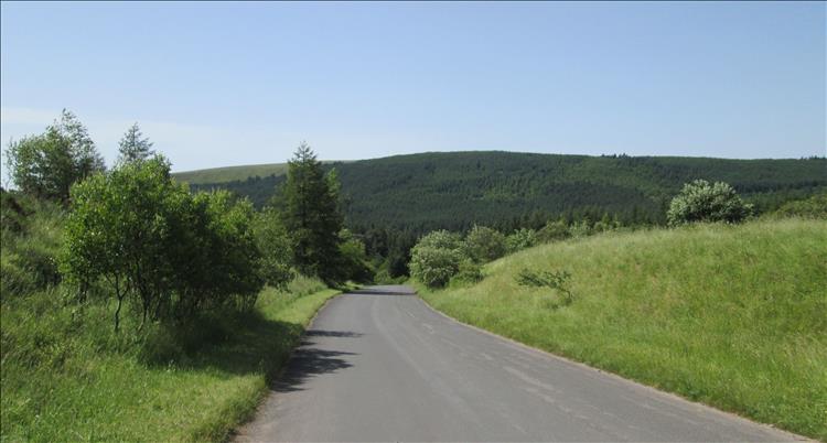A road wide enough for a car and a bike to pass not quite wide enough for 2 cars easily.