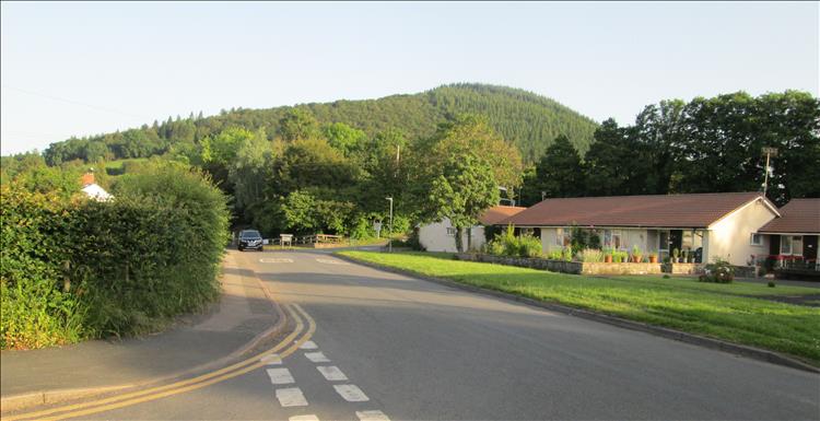 White bungalows in smart gardens and a tree covered hillock behind