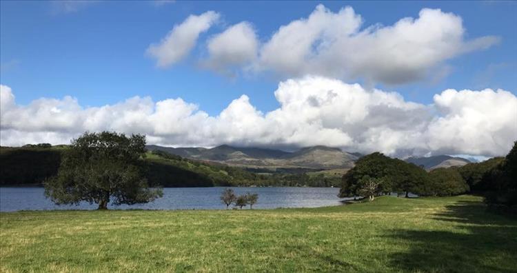 A field falls down into the blue waters of Coniston with a sprinkling of trees and hills