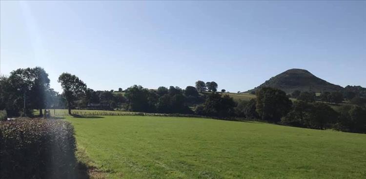 Green field, a steep mound, trees and sunshine in Wales