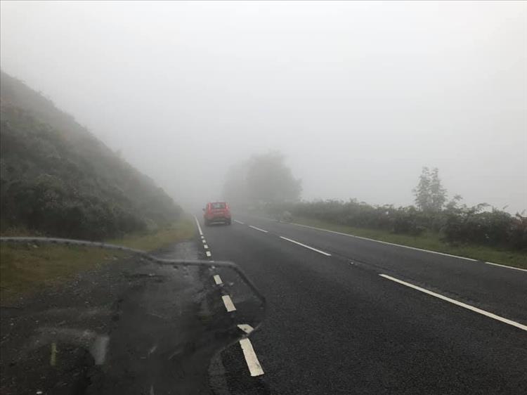 Taken from the roadside very misty and wet hillside and verges in Wales