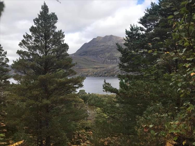 Looking through thick pine trees to a loch and angular hillside