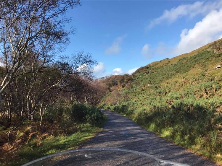 The narrow lane winds between trees and the steep hardy hillsides