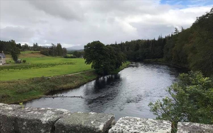Looking down from a bridge we see a curve in the river, trees to one side and rugged fields the other side