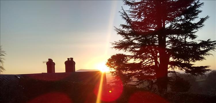 The camera point directly to the sun leaving the rooftop and tree outlined in the morning skies