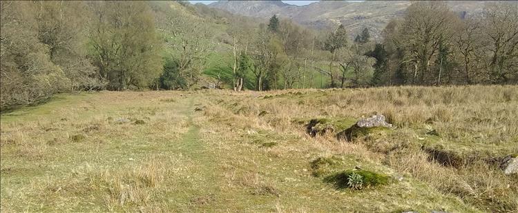 A hard grassy field with a vague path of slightly shorter grass on the path to Beddgelert