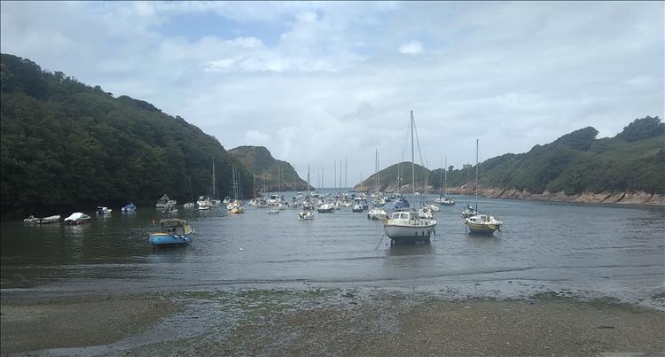 A tree lined bay and sandy beach, various small boats and yachts at anchor in the shallow waters