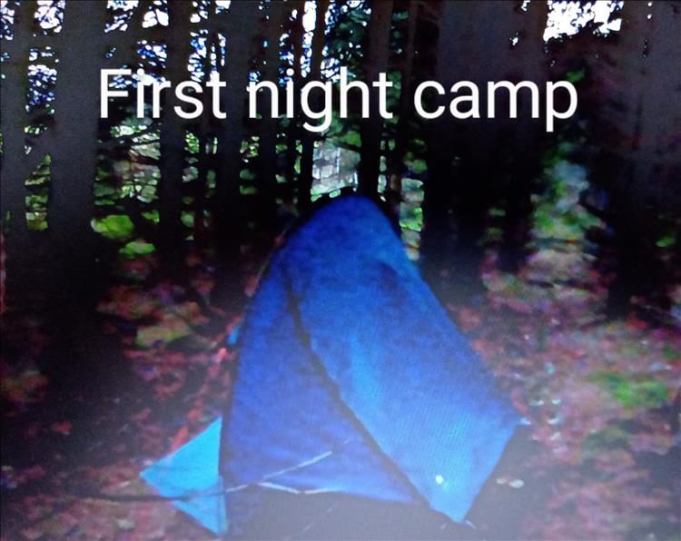 A tiny tent in the thick undergrowth of trees