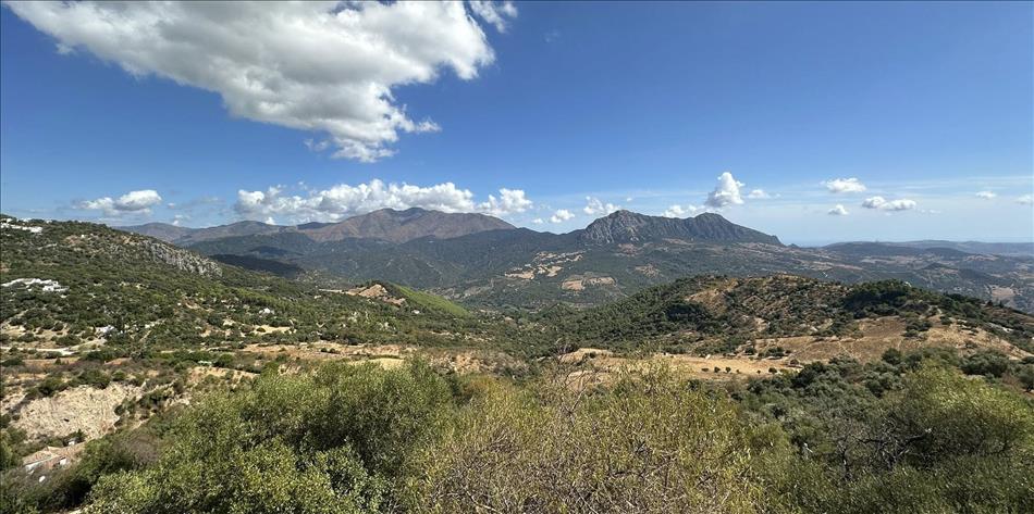 The 2 peaks seem softer, almost forming a ridge now