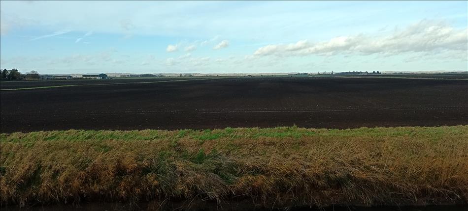 A vast freshly tilled dark brown field, you can JUST make out low hills in the distance