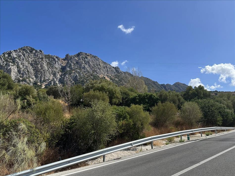 From the road we see a rocky outcrop, jagged and sharp