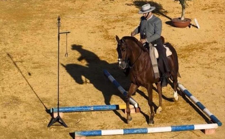 A rider on horseback in a smart spanish style suit and hat