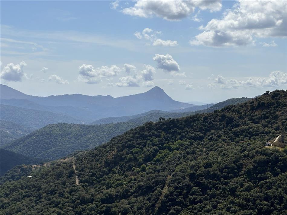 We see an almost triangular peak zoomed in somewhat