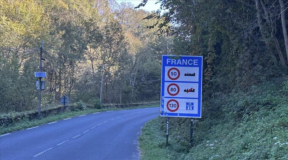 A blue sign stating various speed limits among thick tree coverage beside the road
