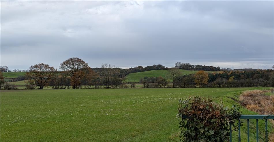 A field, as the end of the field the land rises maybe 50 or 100 feet into a hillock