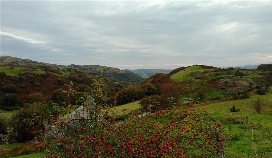Rugged Welsh scenery with hills and valleys, trees and grasses