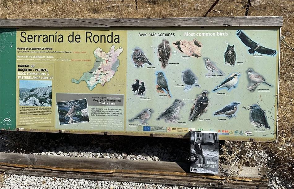 An information board about the Ronda area and something about birds too